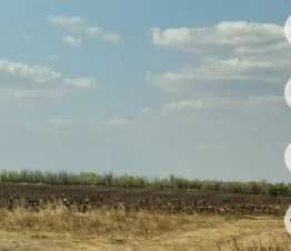 Зем.діл. Дніпропетровська область, Павлоградський р-н, Межиріцька с\р