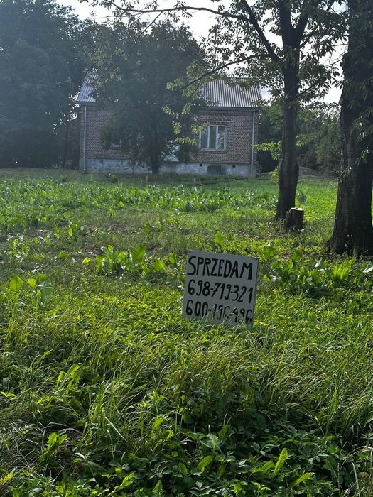 Siedlisko w zakrzówku