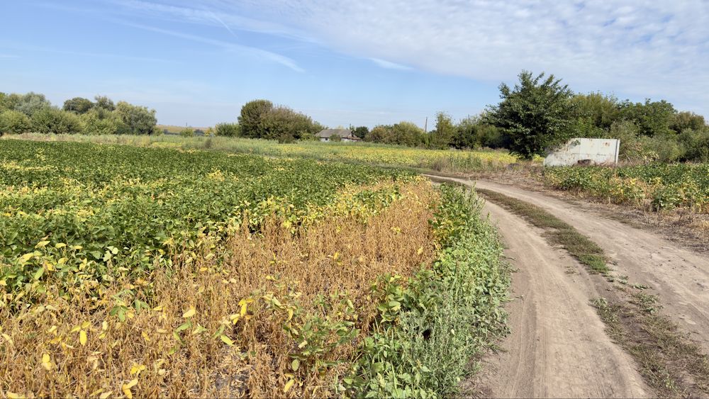 Продам земельну ділянку 17,33 сотки біля водойми в с.Шибин. Можлива зміна під забудову та обмін.