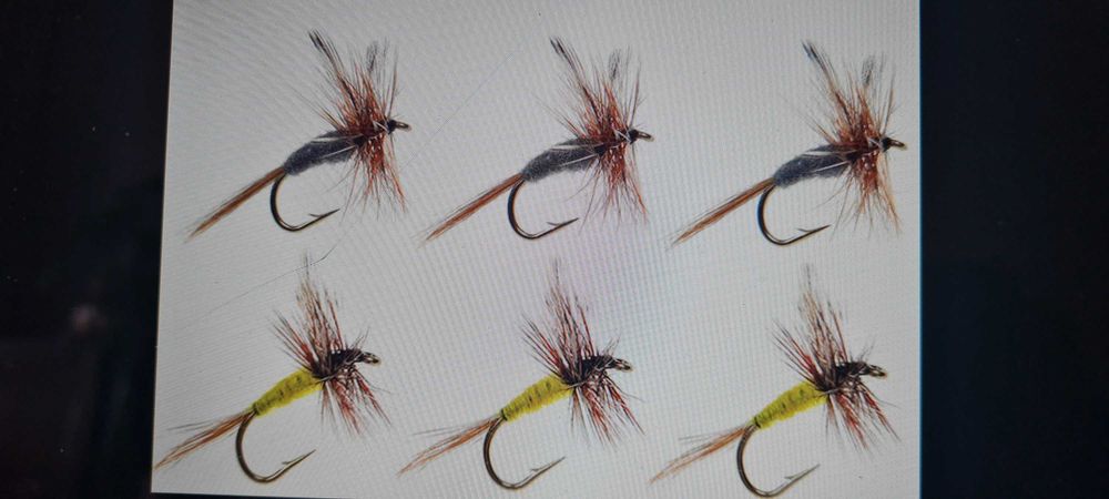 Plumas para Pesca das Trutas