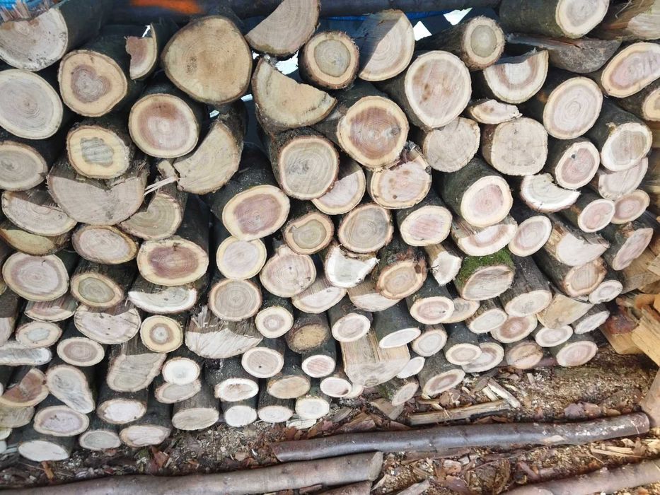 Drewno sosnowe  i liściaste