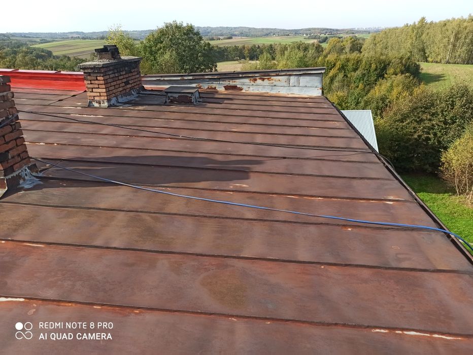 Malowanie dachów i elewacji