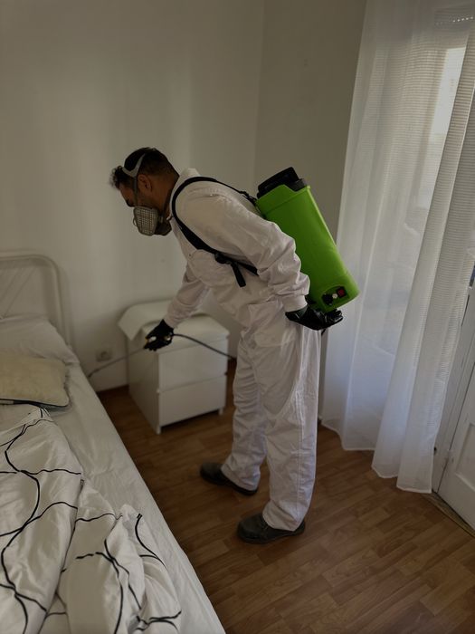 Desinfestacao controlo de pragas PERCEVEJO PULGAS RATO BARATA TERMITAS