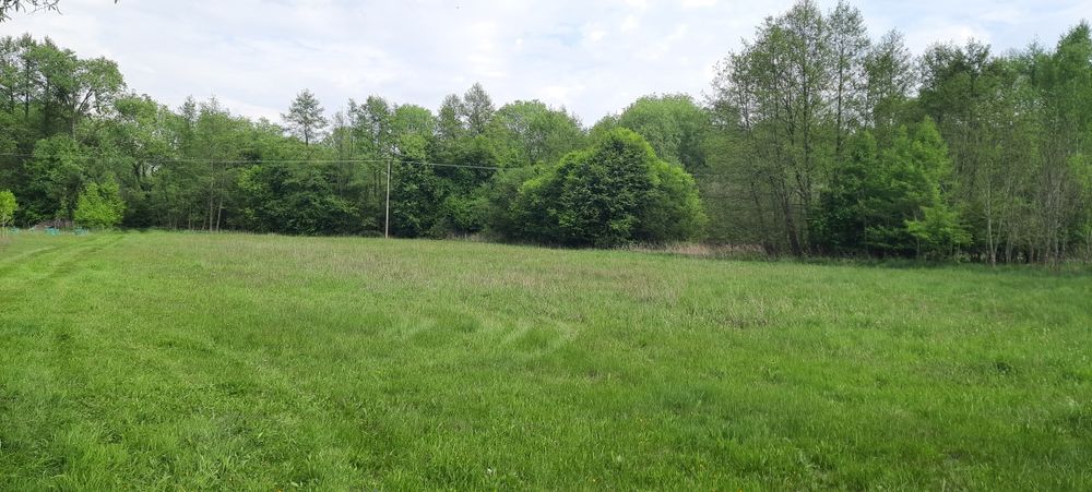 Działka rekreacyjna