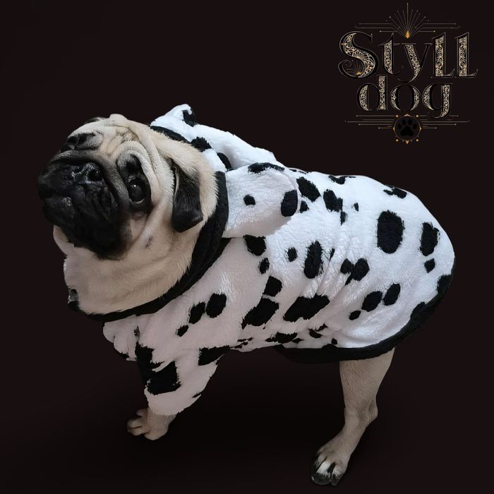 Одежда для собак