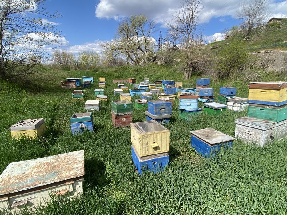 Продам улики, инвентарь