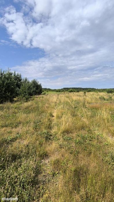 Działka 1239 M2 blisko PKP Studzianki Nowe