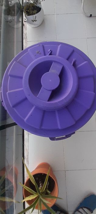 Balde plástico roxo com tampa