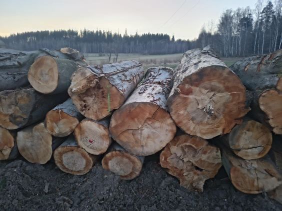 Drewno opałowe kominkowe buk