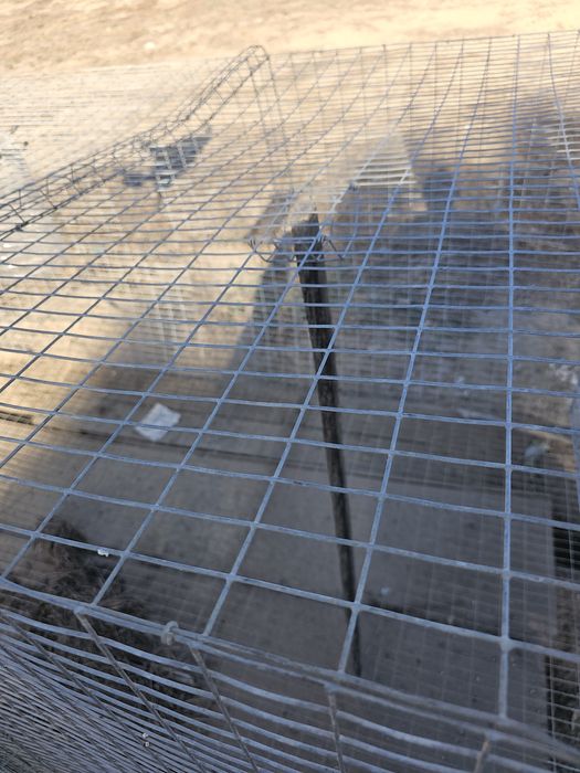 Gaiola para animais grandes