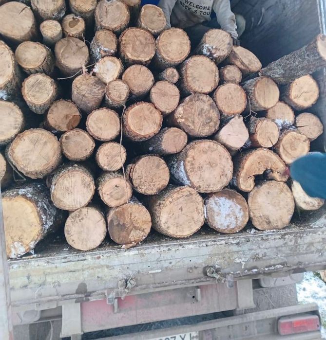 Продаємо ДРОВА гуртом та роздріб. Криве Озеро