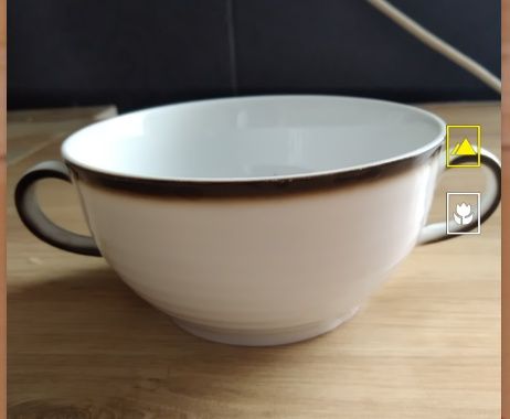 B u l i o n ó w k i