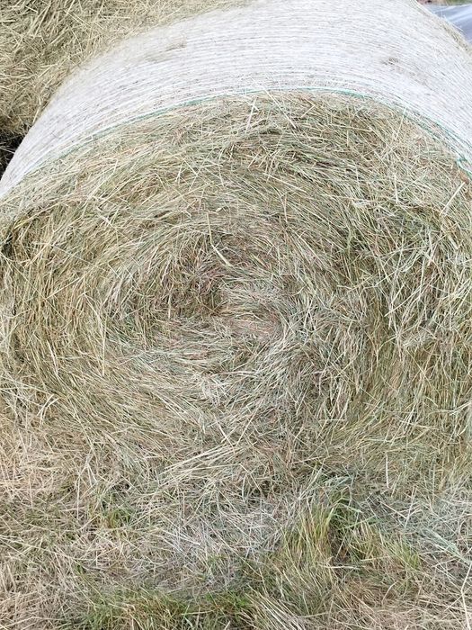 Siano w bekach 120 na 120