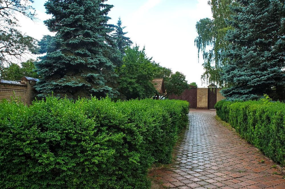 Пансіонат для людей похилого віку