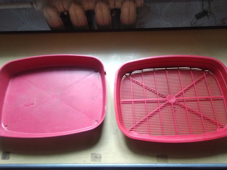 кошачий туалет для котят