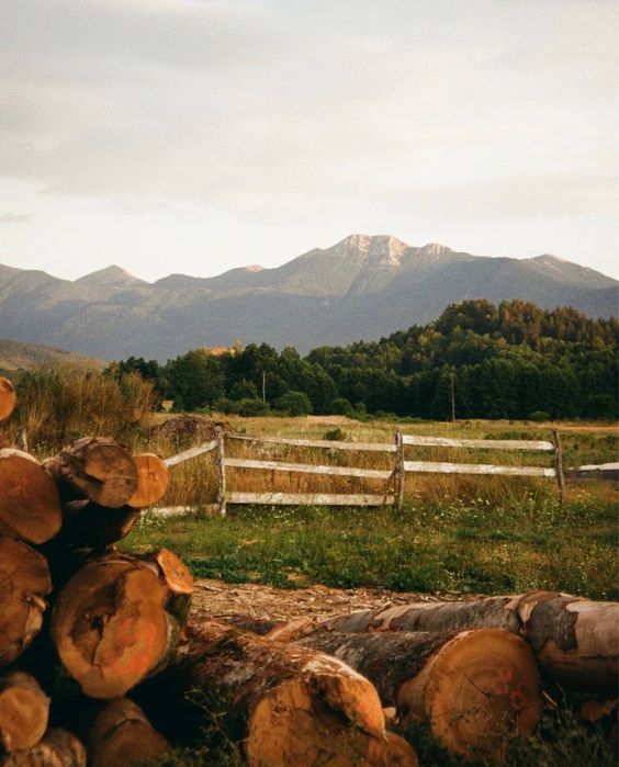 Olympus Go 100  плівковий фотоапарат