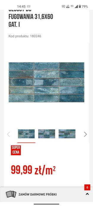 Płytki ścienne PAMESA 31,6x60 cm