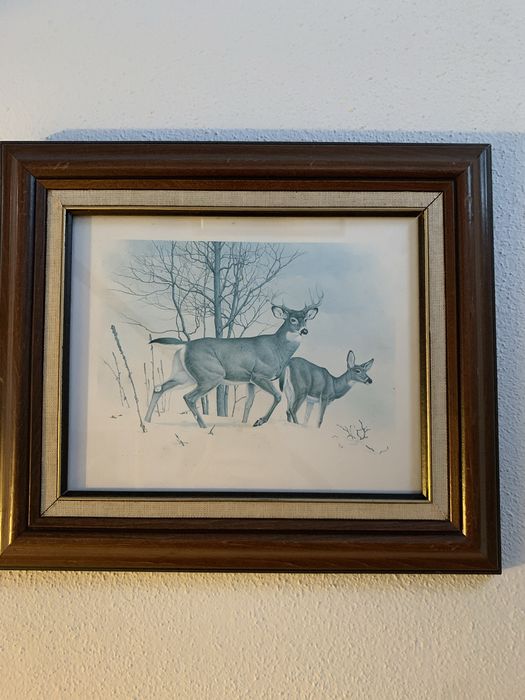 Conjunto de 6 quadros64739237827970124