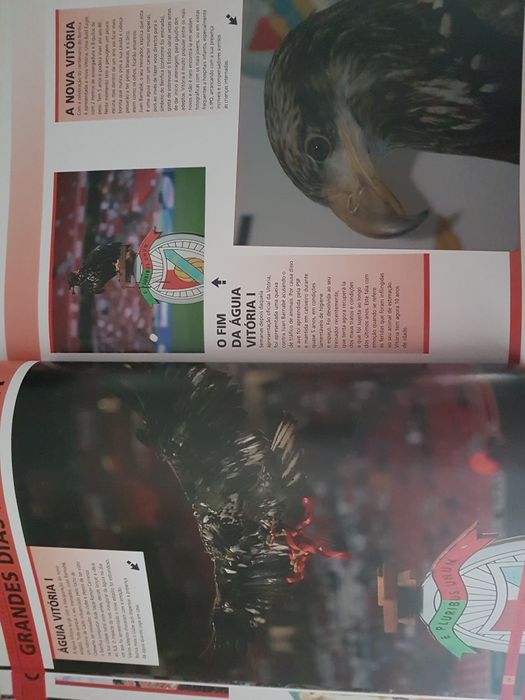 Livro SL Benfica Guinness World Records