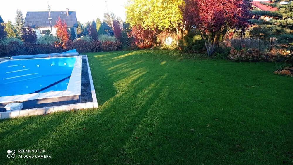 Kompleksowe zakładanie ogrodów