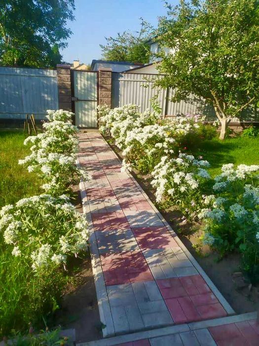 Продаж будинку м.Обухів м-н Дзюбівка