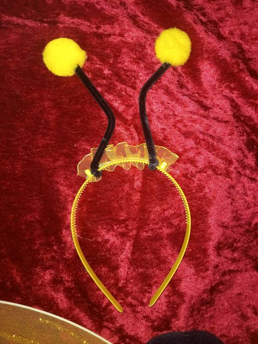 Костюм сонечка божої коровки бедрика бджілки бджола на свято весни