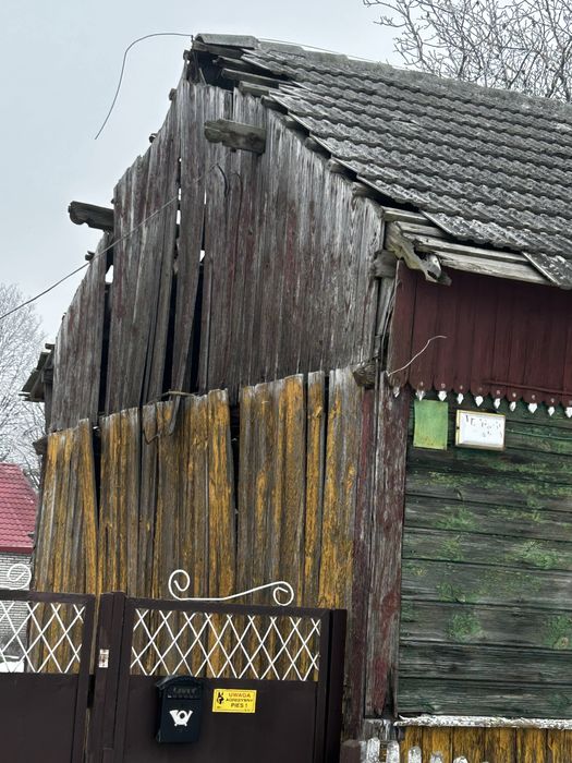 Oddam drzewo za rozbiórke