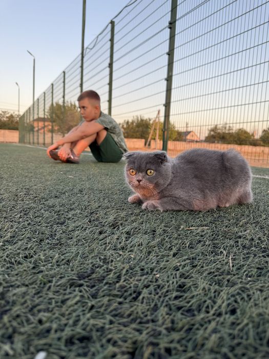 Кекс неймовірний хлопчик