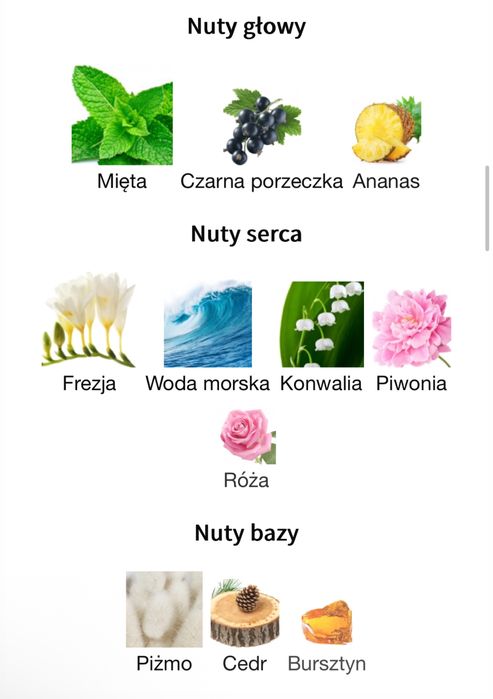 Korloff Kn°I EDT