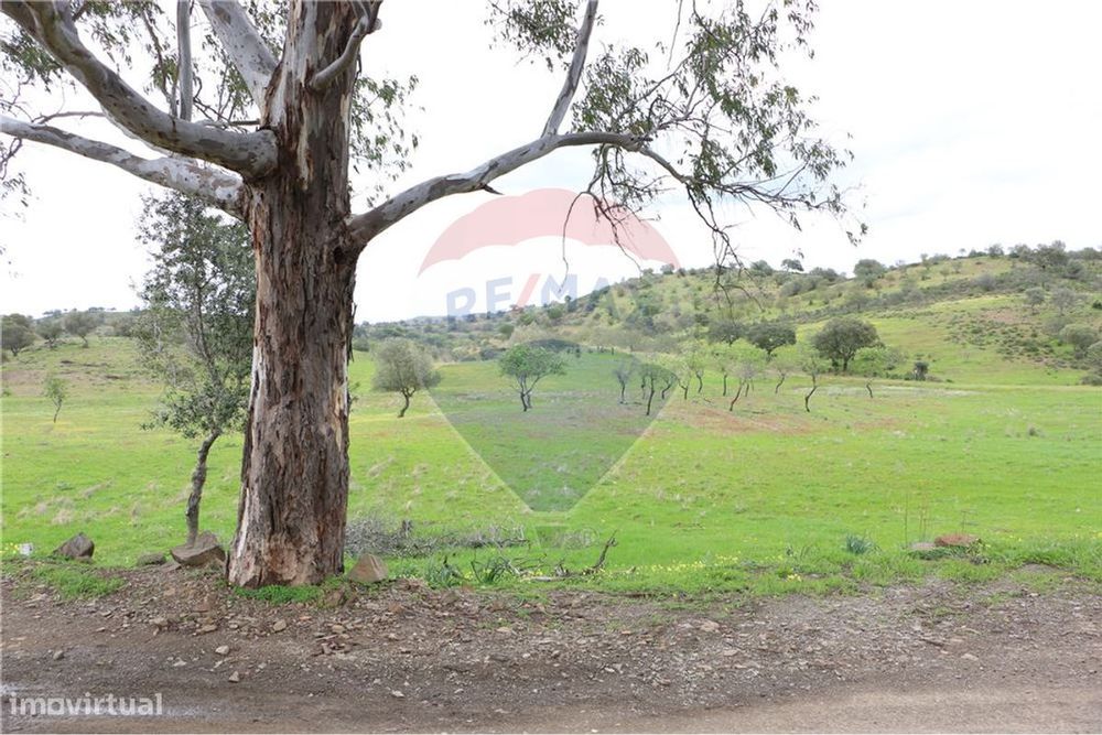 Terreno  para venda — Odeleite, Faro