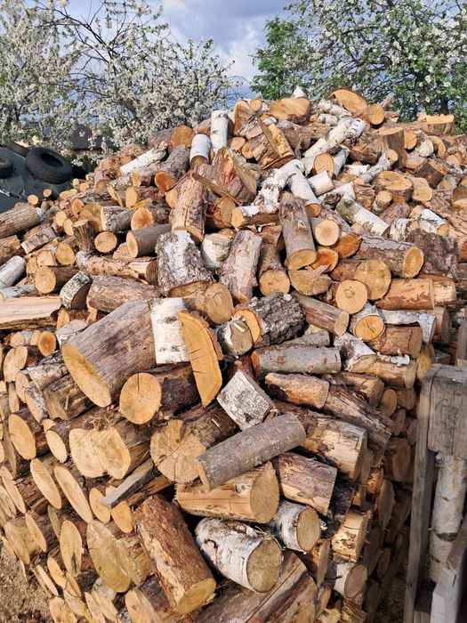 Drewno opałowe Dąb, Brzoza, Sosna