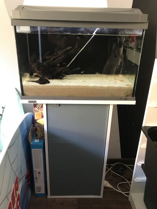 Akwarium 60 l