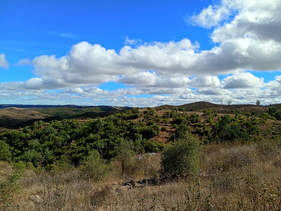 Terreno Ourique 115.000 metros quadrados próximo de barragem