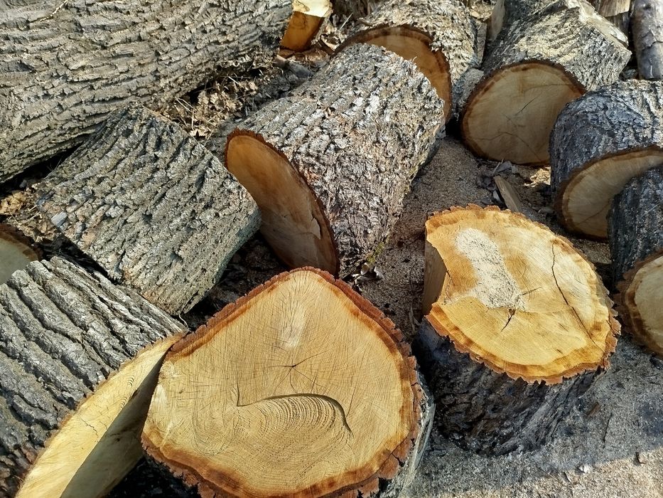 Drewno opałowe brzoza dąb sosna