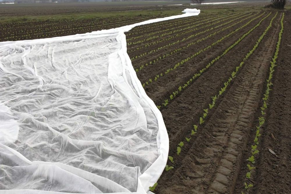 Agrowłóknina na przymrozki  P23 12,65x100m 650 zł !!! PROMOCJA