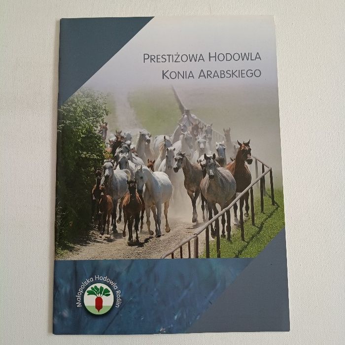 Prestiżowa Hodowla Konia Arabskiego