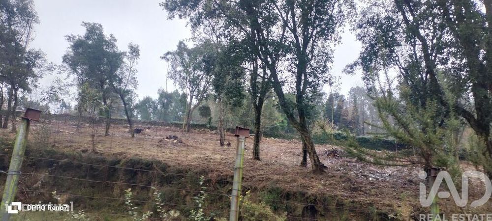 Terreno em Fornelo e Vairão