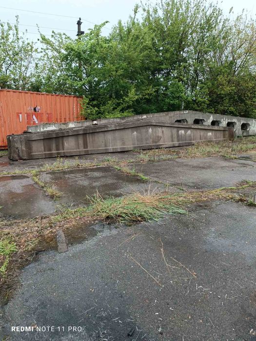 Продам  региля 12м.