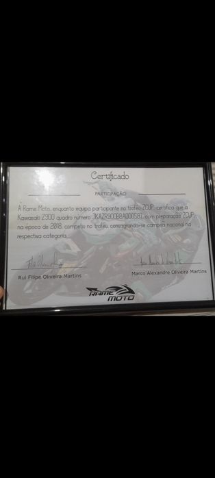 Kawasaki Z900 ZCUP 2019