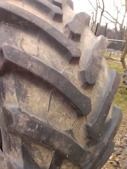 Opona ciągnika Trolleborg TM800  650/65/38