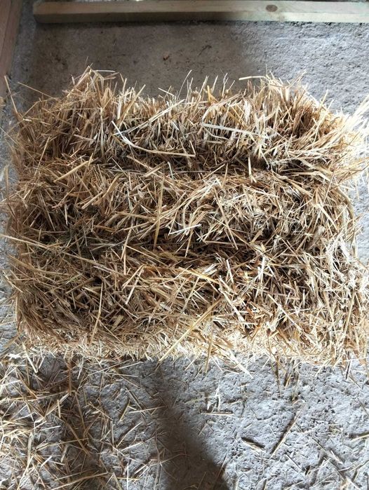 Kostki słomy z pszenicy żyta