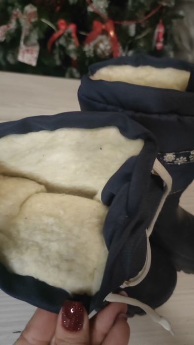 Ціна чоботів 250 грн