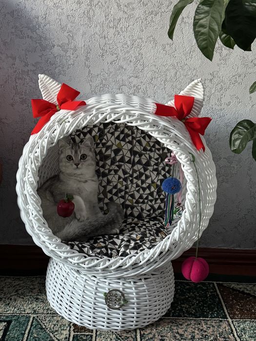 Котобудинок з ротангу