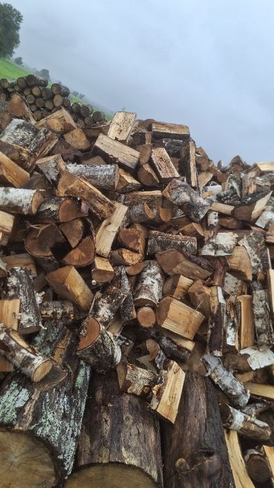 Drewno kominkowe I opałowe Olcha