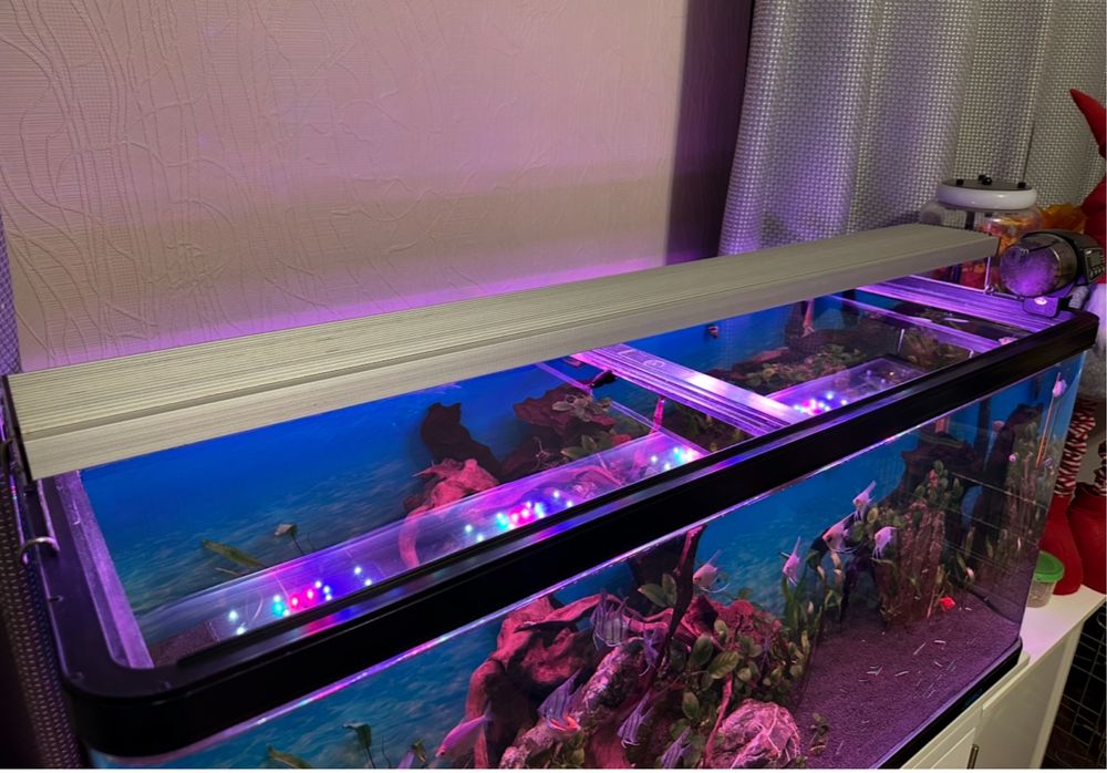 Акваріумний світильник Rival