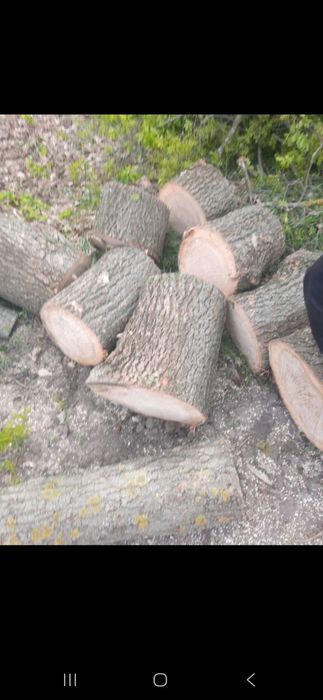 Дрова розпродаж  деревини