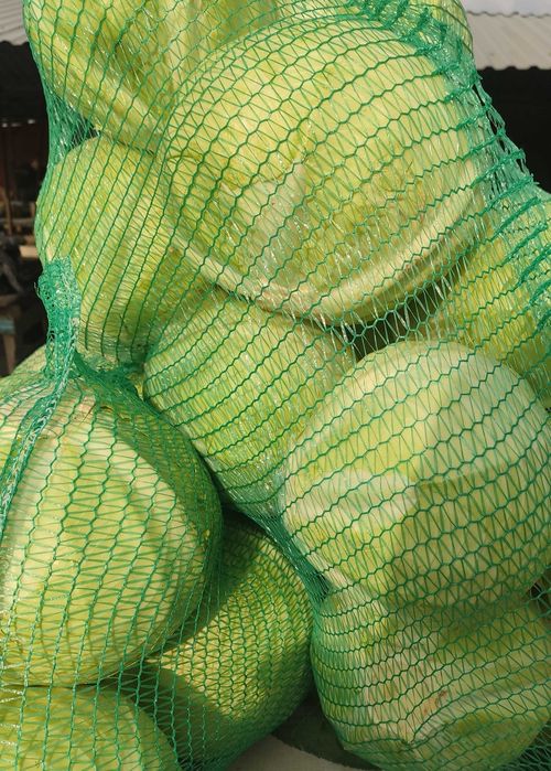 Капуста пізня.Сорт анкома