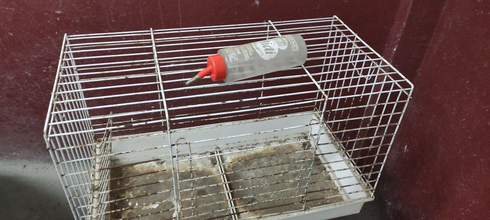 Gaiola grande branca