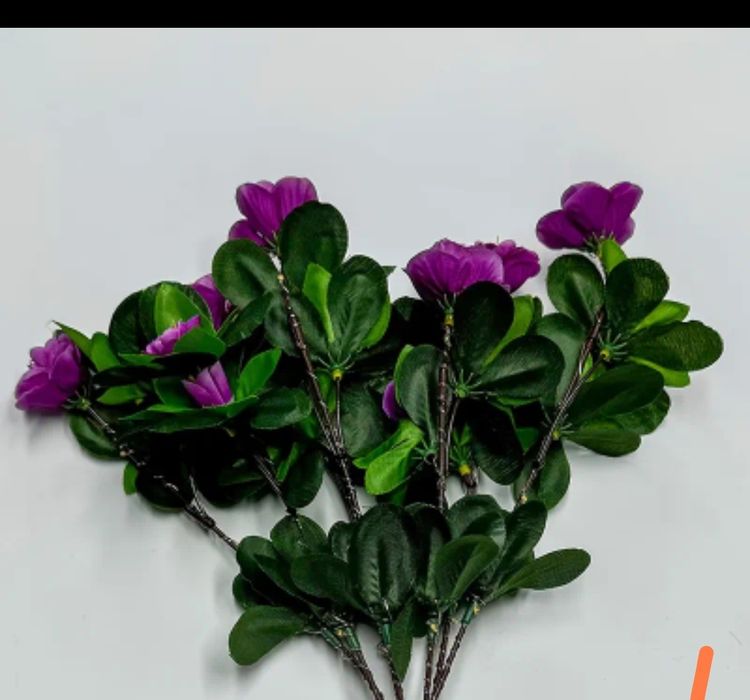 Rodendron solarny WODODPORNY