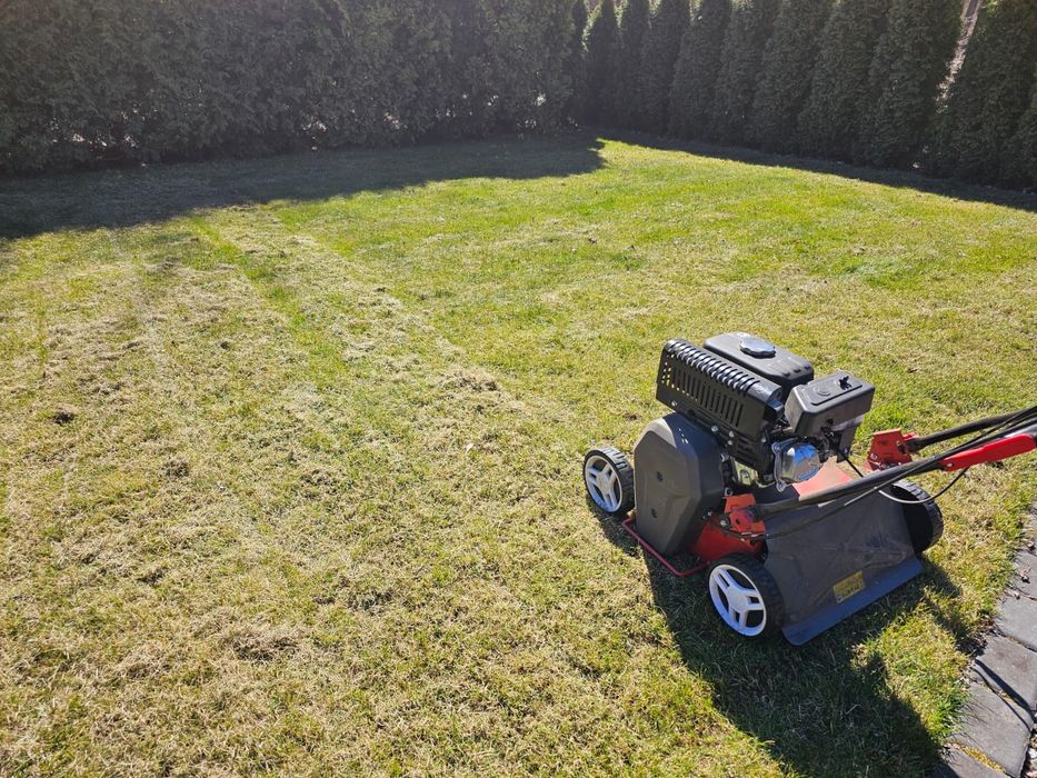 Pielegnacja I czyszczenie ogrodow I dzialek